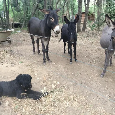 Baan Mai Pai * Grimaud